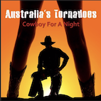 Cowboy For A Night