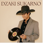 Drop a Pin on a Vinyl